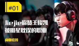 WNF最新职业选手爆料,揭秘赛场背后的风云变幻