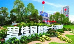 青县碧桂园爆料案件最新,揭秘背后惊人真相